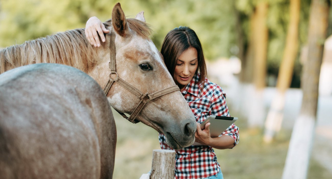 Veterinarian IT Services